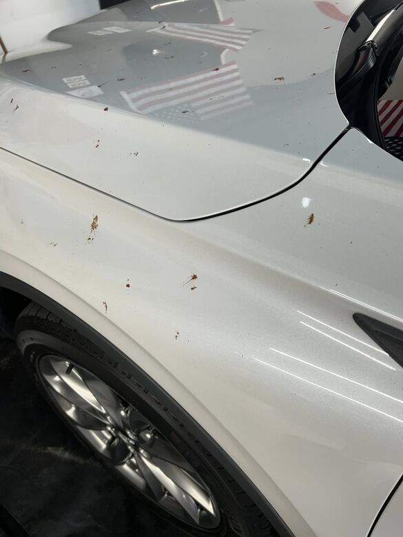 Auto detailing work by OG Detailing in Huntley, IL (sample 25)