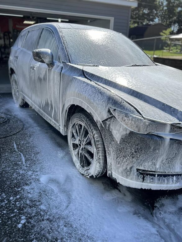 Auto detailing work by OG Detailing in Huntley, IL (sample 35)